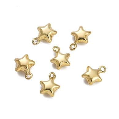 14x10mm 14k aukso sp. nerūdijančio plieno pakabukas žvaigždė, 1vnt.